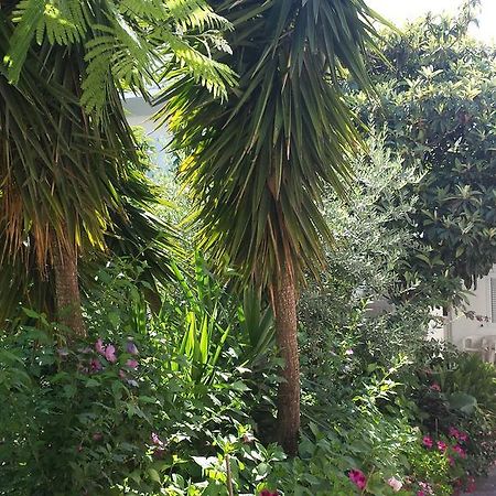 Apartments Fortunella بودفا المظهر الخارجي الصورة