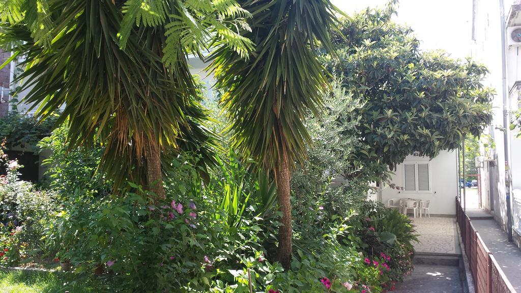 Apartments Fortunella بودفا المظهر الخارجي الصورة